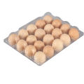 Custom Rectangle PET PP 30 Holes Plastic Egg Tray for Refrigerator